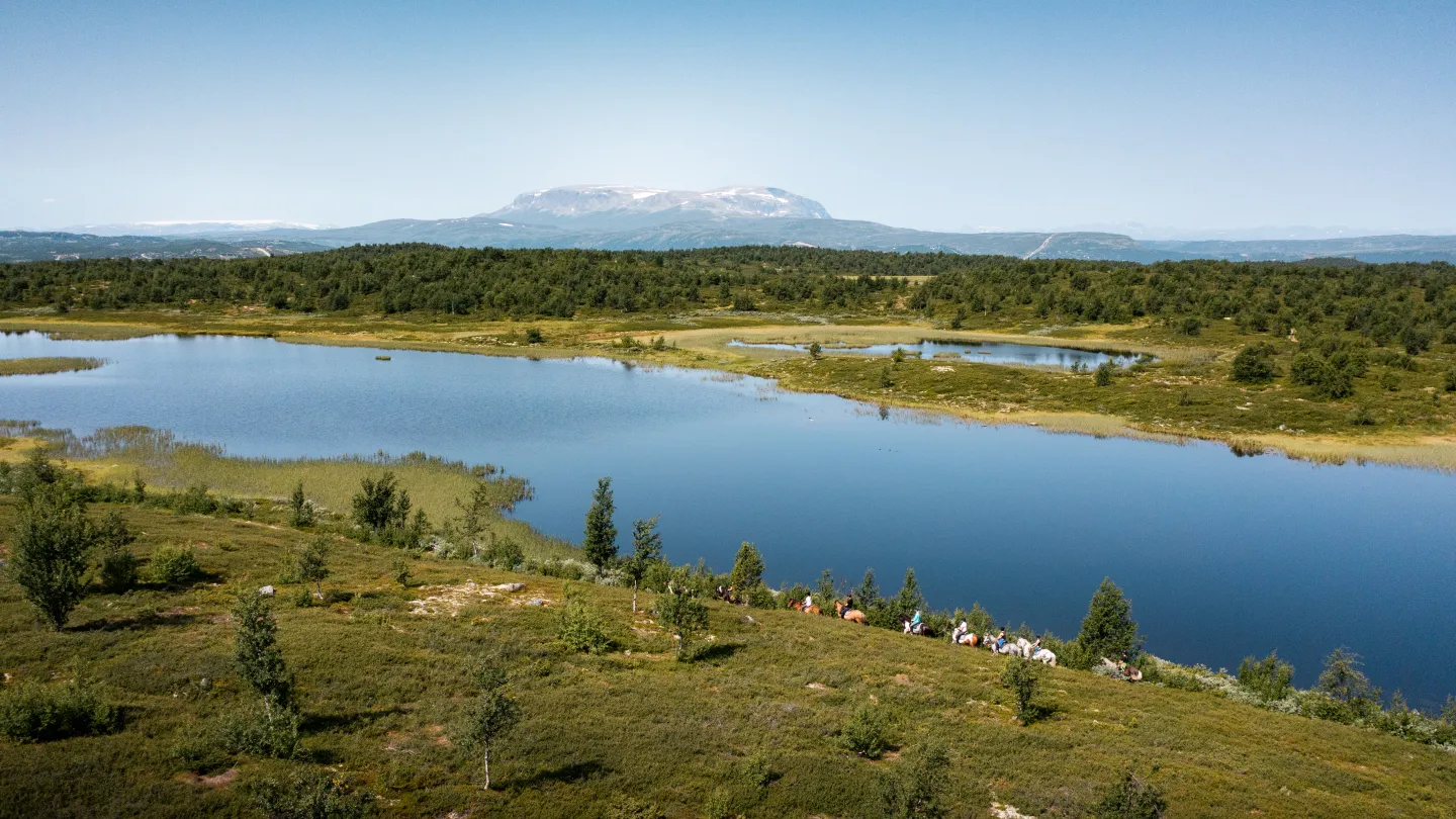 Ridning med utsikt til Hallingskarvet