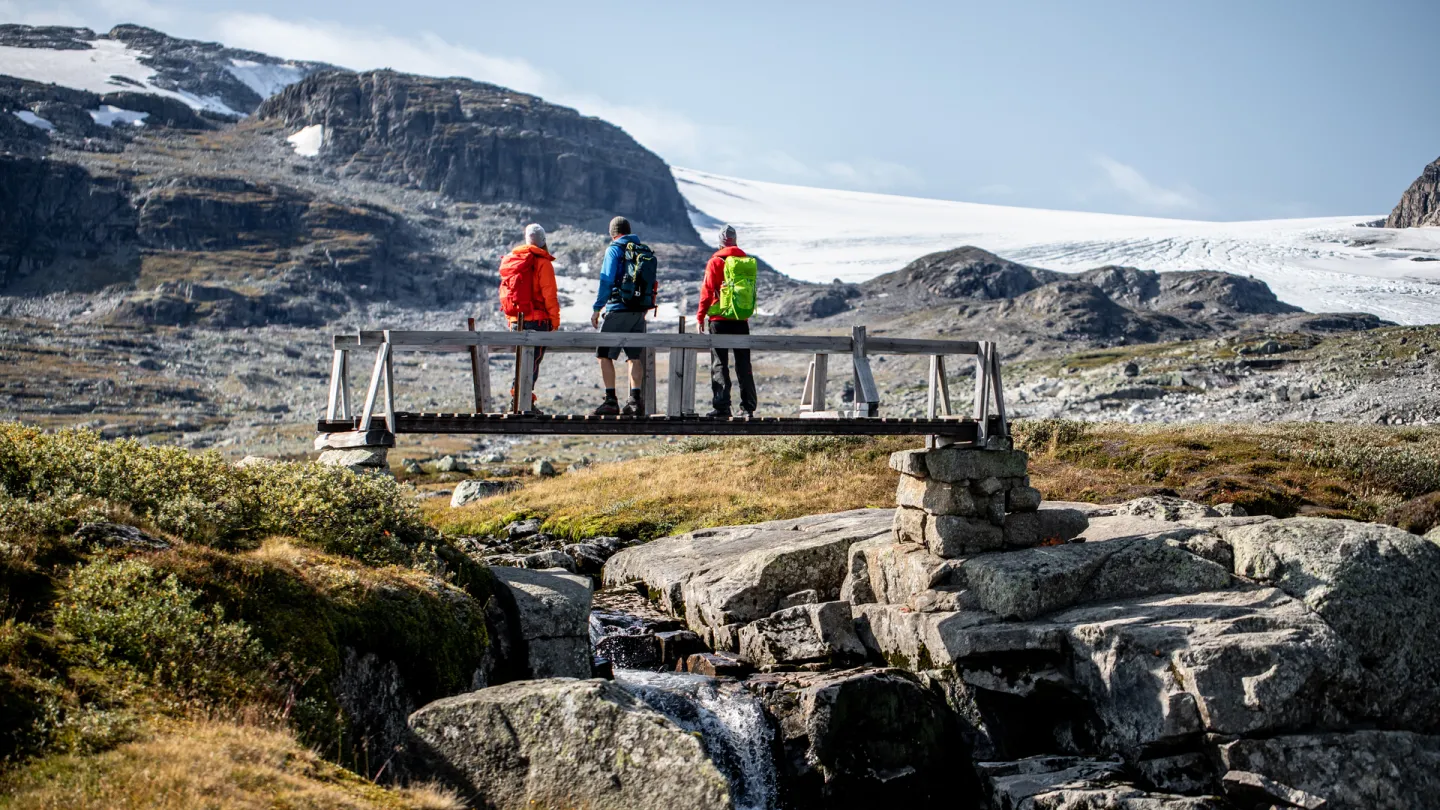 Brevandring på Hardangerjøkulen 