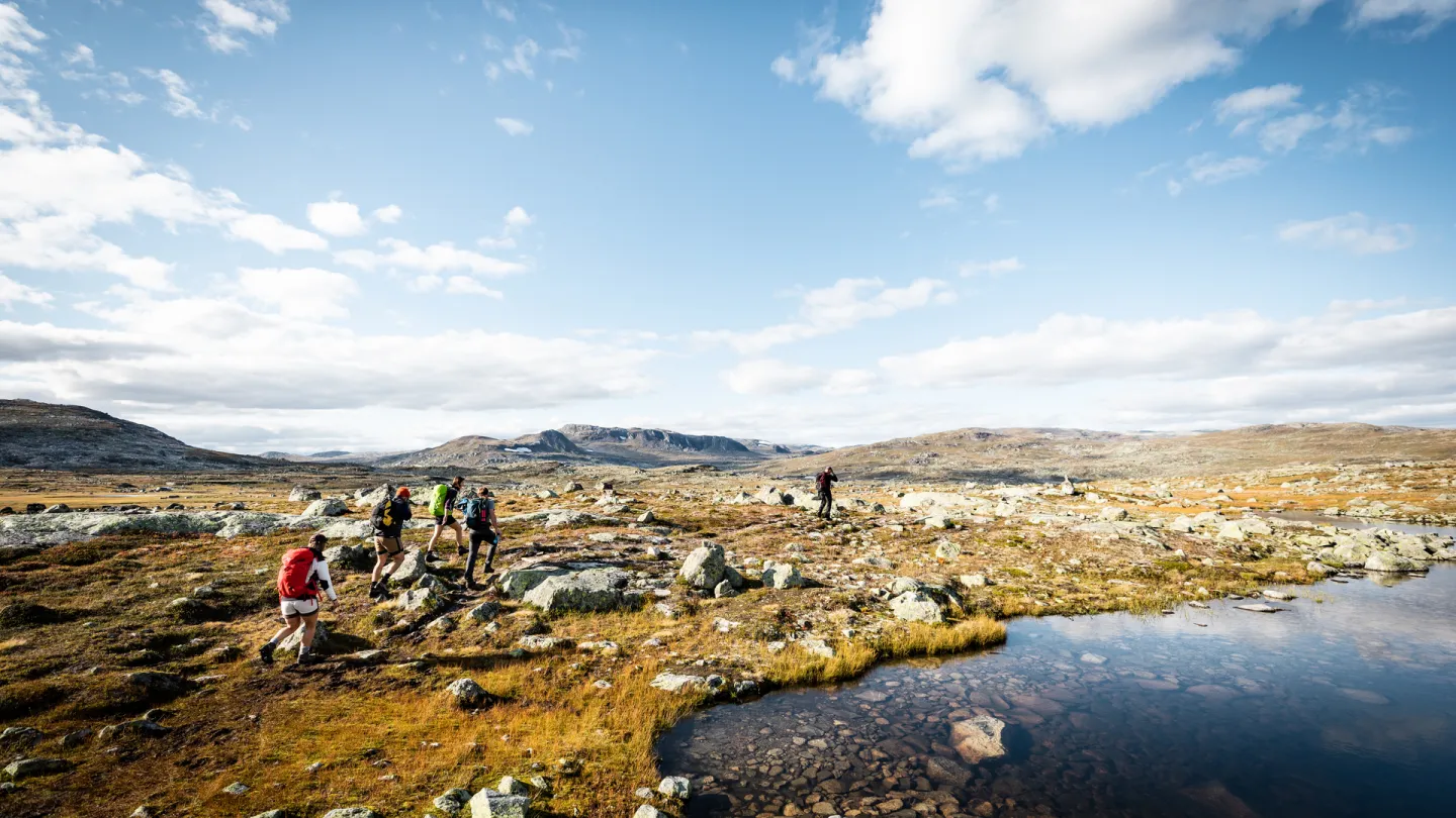 Brevandring på Hardangerjøkulen 