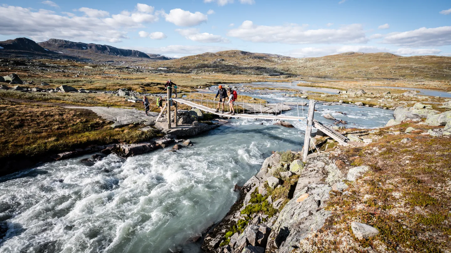 Brevandring på Hardangerjøkulen 