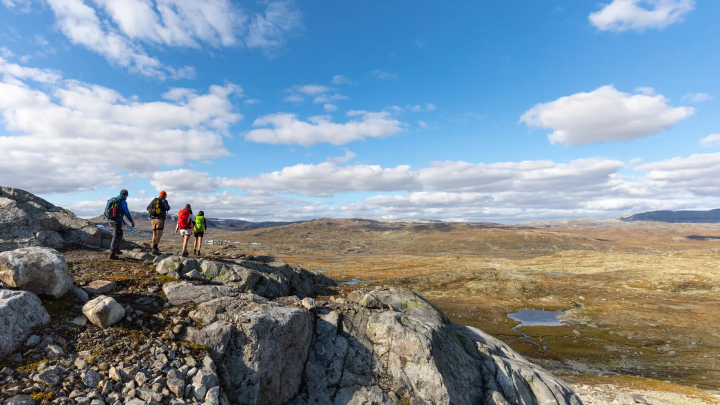 Brevandring på Hardangerjøkulen 