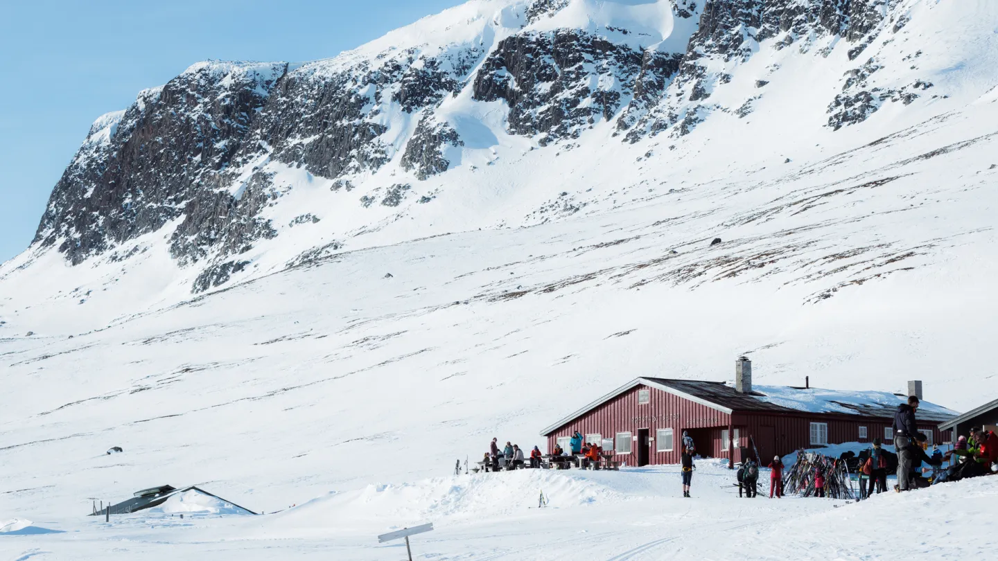 Prestholtseter