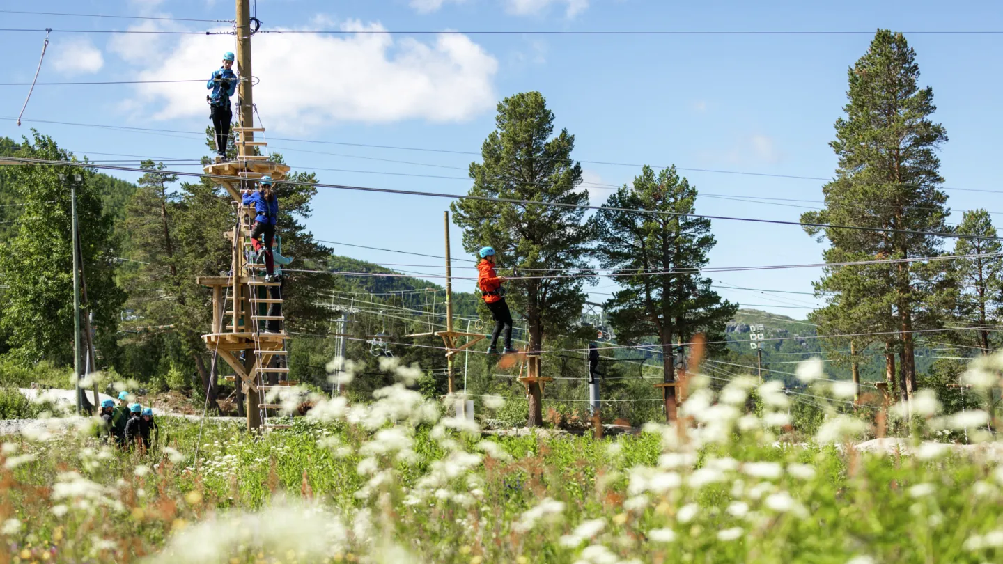 høyt og lavt klatrepark