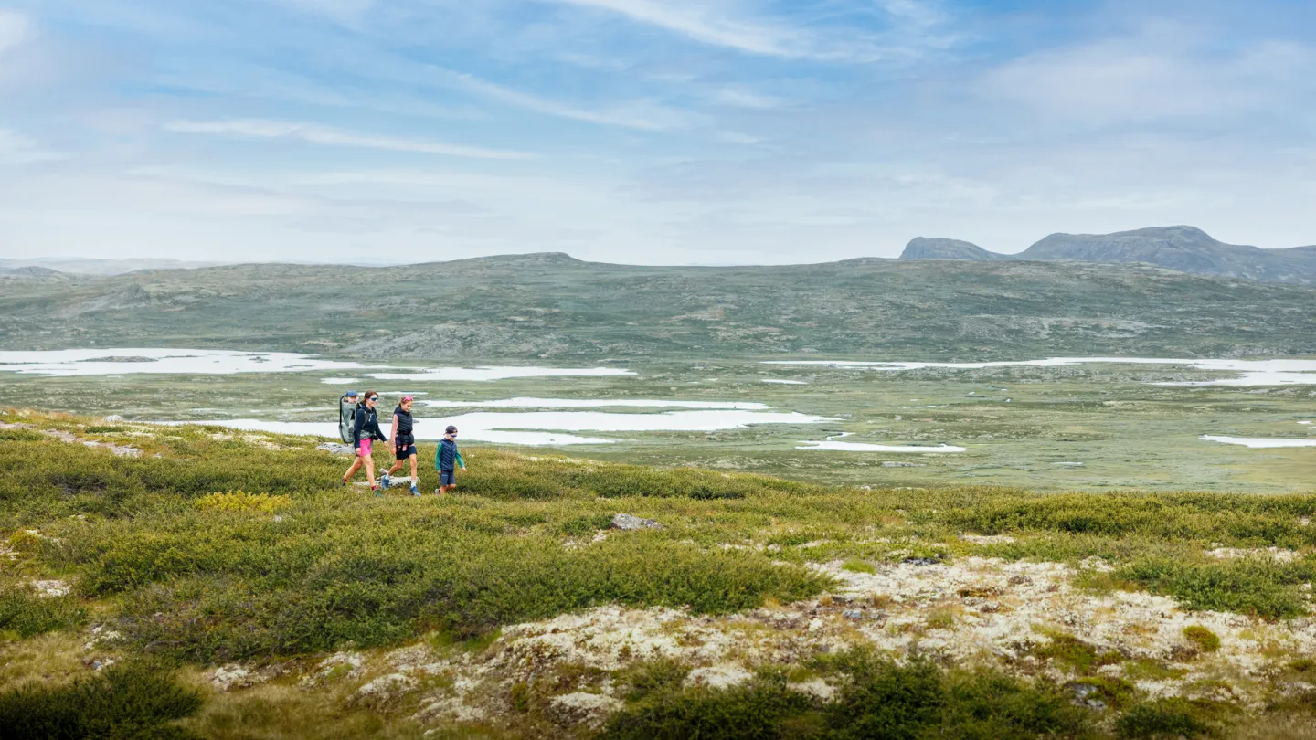 Vandring Hardangervidda