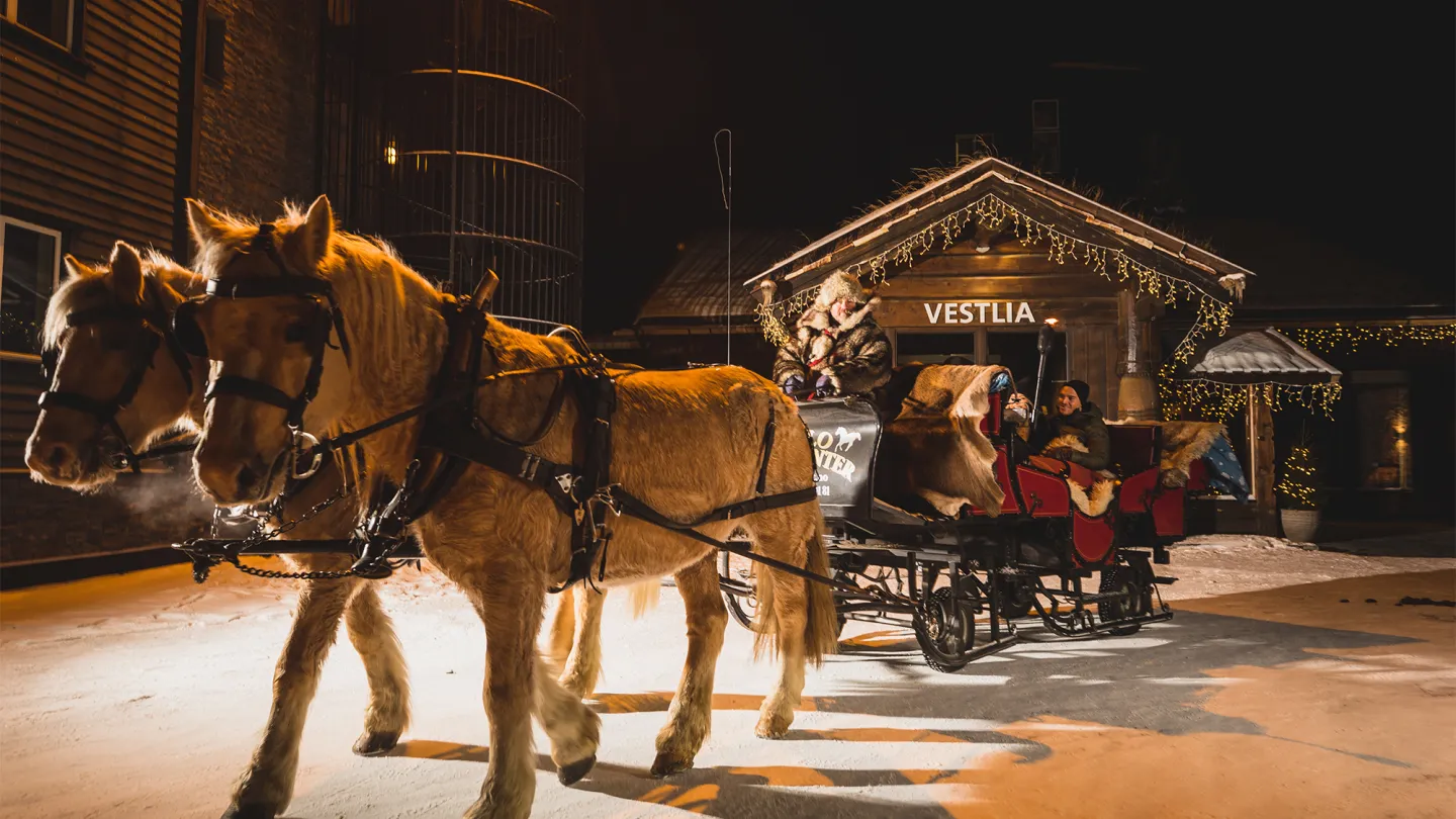 Horse sleigh ride in front hotel Vestlia