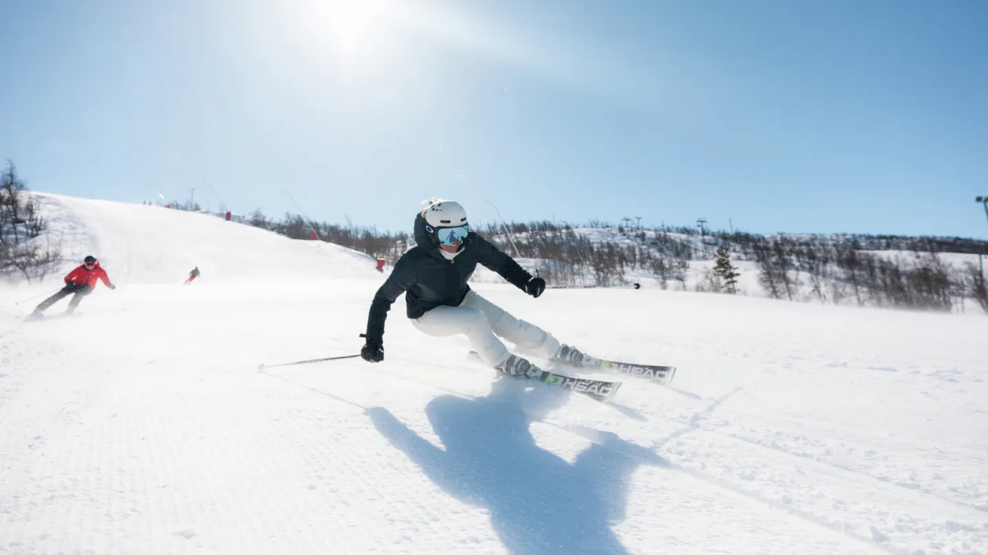 ski