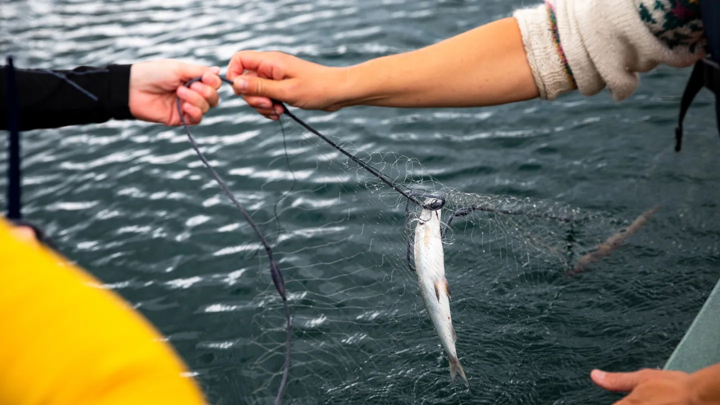 Fiske på ustaoset